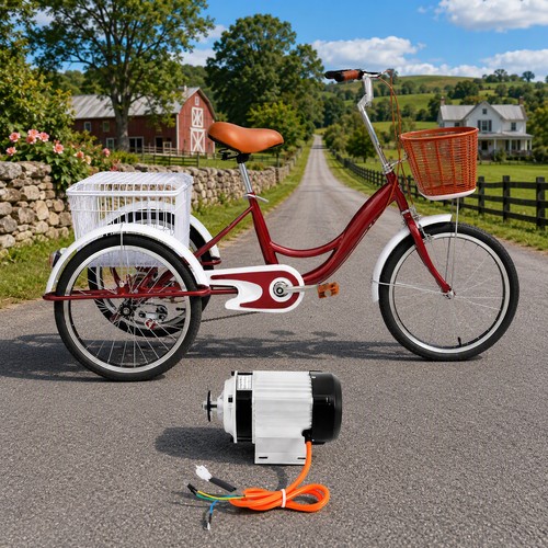 For adults tricycle - for,